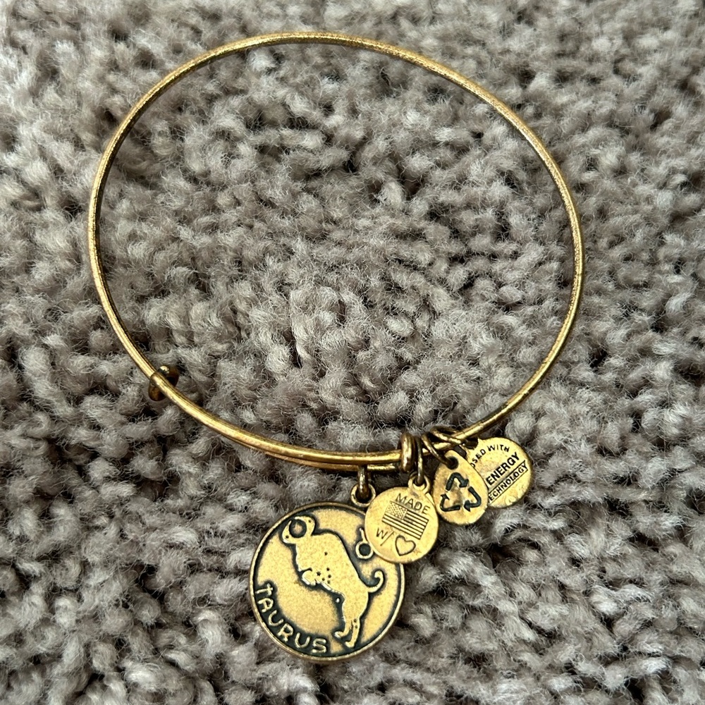 Alex and Ani Taurus Energy Bracelet Zodiac Sign Bangle Charm Bracelet